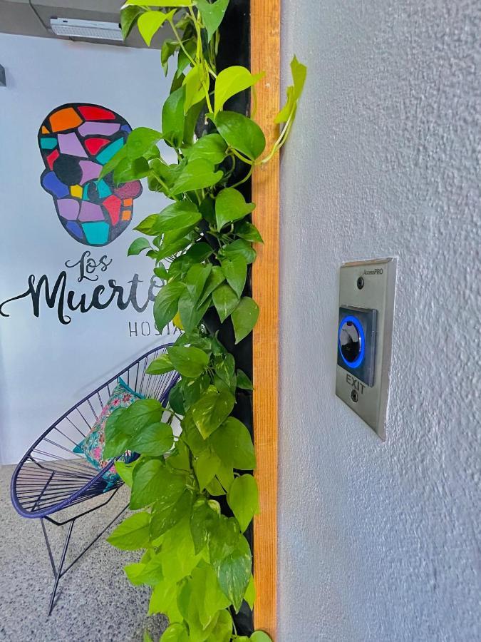 Los Muertos Hostal بويرتو فالارتا المظهر الخارجي الصورة